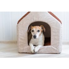 Kutyaház fűtőszőnyeg - M 55*55 cm (kültérre)