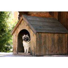 Kutyaház fűtőszőnyeg - S 30*55 cm (kültérre)