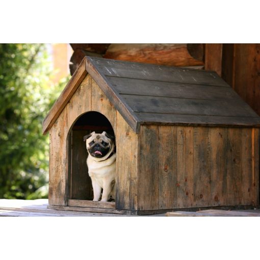 Kutyaház fűtőszőnyeg - S 30*55 cm (kültérre)