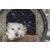 kültéri kisállat fűtőszőnyeg L
