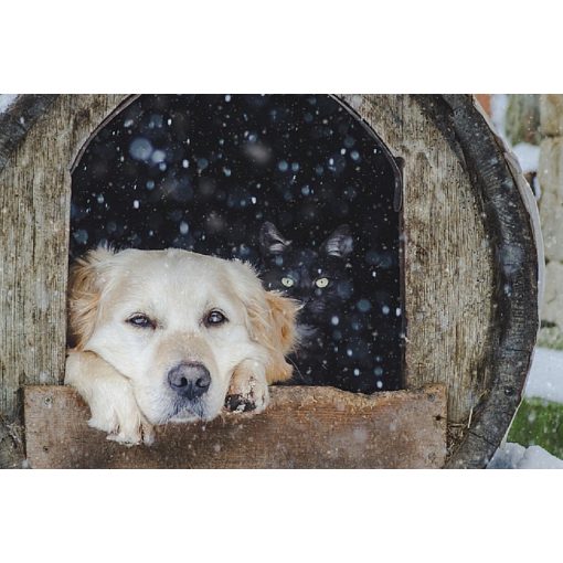 Kutyaház fűtőszőnyeg - L 80*55 cm (kültérre)