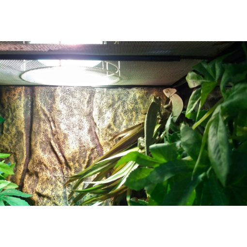 Terrárium fűtőszőnyeg - M 55*55 cm