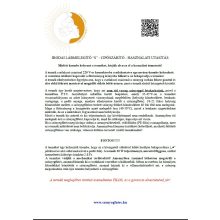 Irodai fűtőszőnyeg - S 30*55 cm - Munkaállomás fűtés