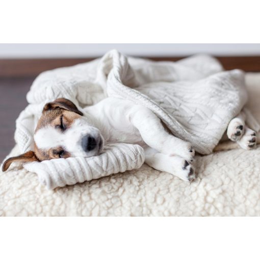 Házikedvenc infra fűtőszőnyeg - S 30*55 cm